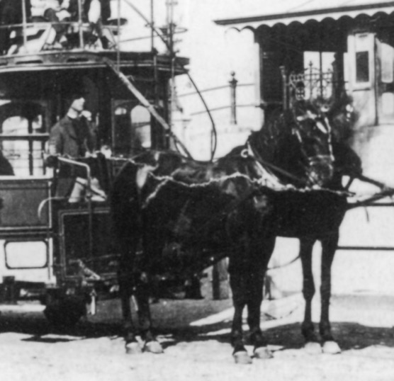 Douglas Bay Tramways horse tram driver 1876