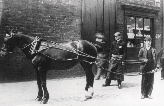 Preston horse tram driver and horse in Fishergate 1903
