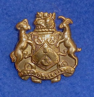 Bradford City Tramways coat of arms lapel badge brass